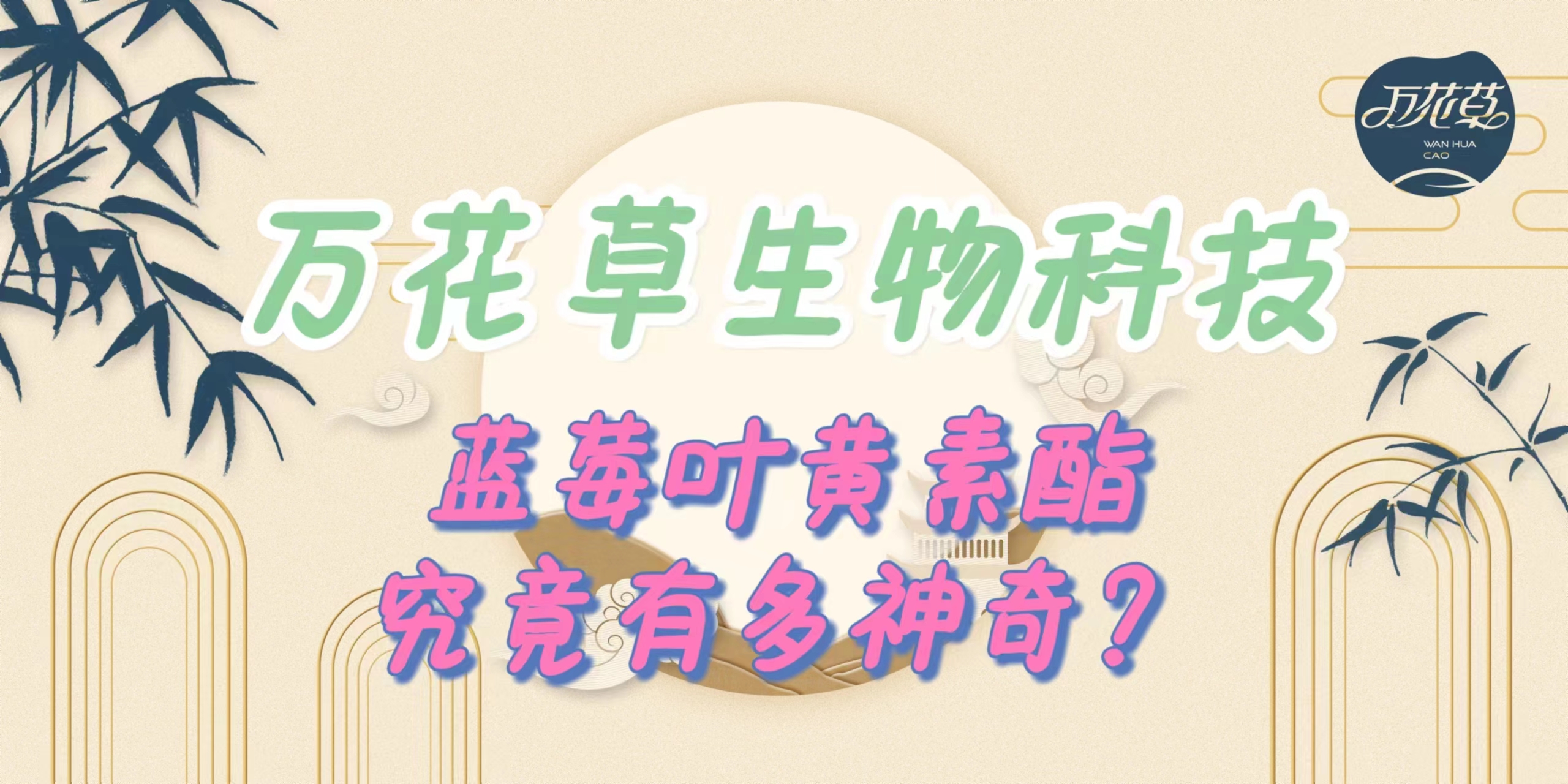 升級(jí)配方，重磅出擊，萬花草藍(lán)莓葉黃素酯究竟有多神奇？