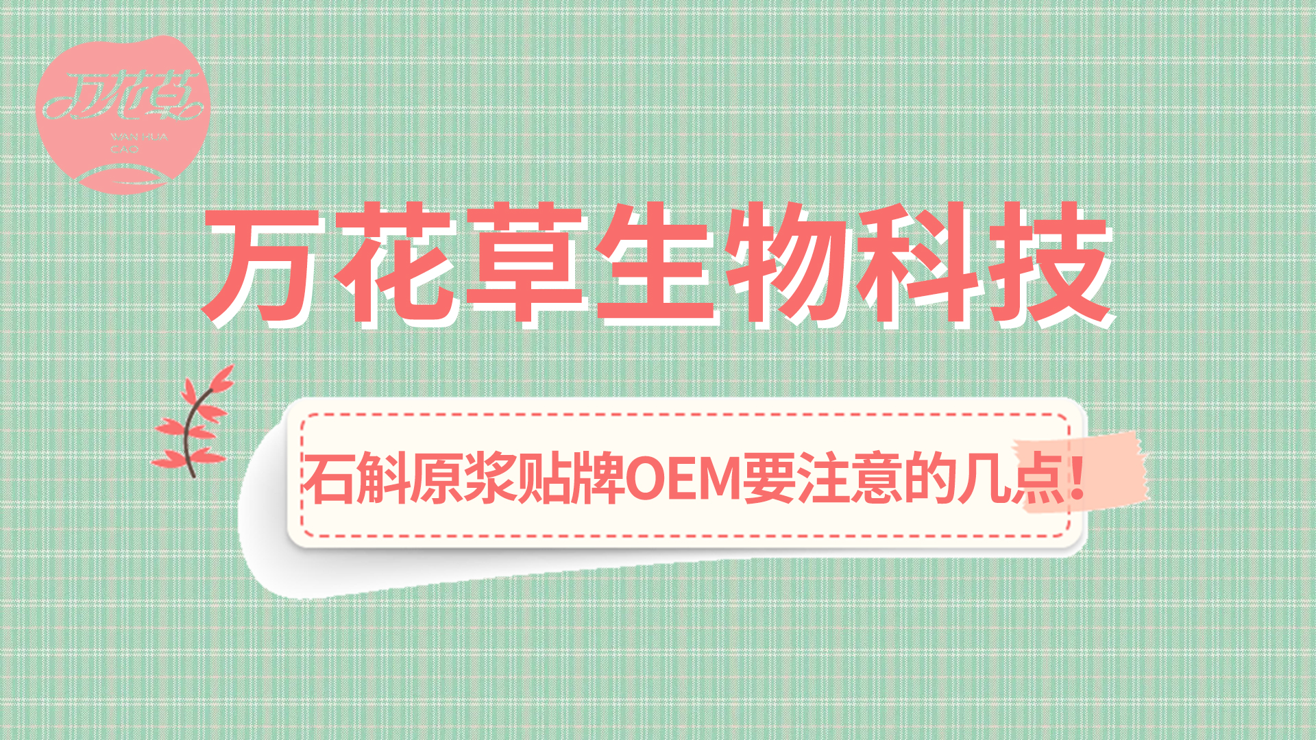 石斛原漿貼牌oem您需要注意哪幾點？